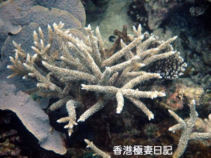 f0190653_9201121.jpg