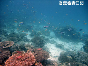 f0190653_9202353.jpg