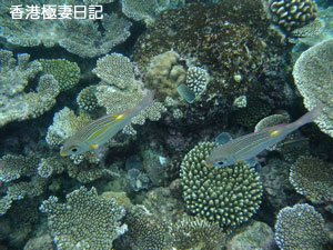 f0190653_9203490.jpg