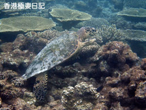 f0190653_9212083.jpg
