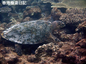 f0190653_921963.jpg