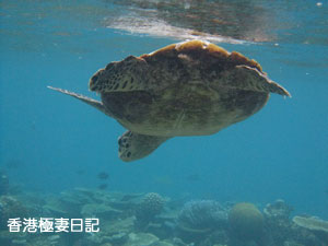 f0190653_9224017.jpg