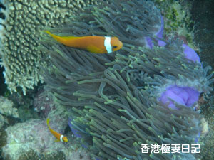 f0190653_9225368.jpg