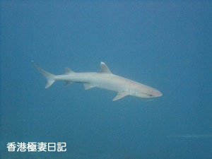 f0190653_9231724.jpg