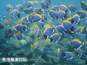 f0190653_9234095.jpg