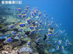 f0190653_9235296.jpg