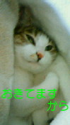 c0052756_223061.jpg