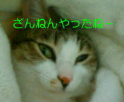 c0052756_2230668.jpg