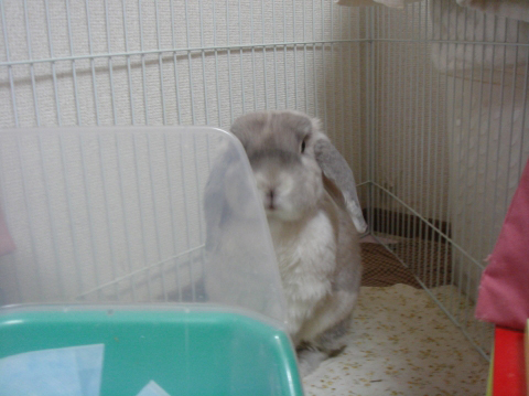 c0032257_9411550.jpg