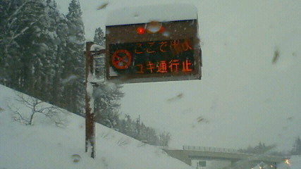f0056359_23504133.jpg