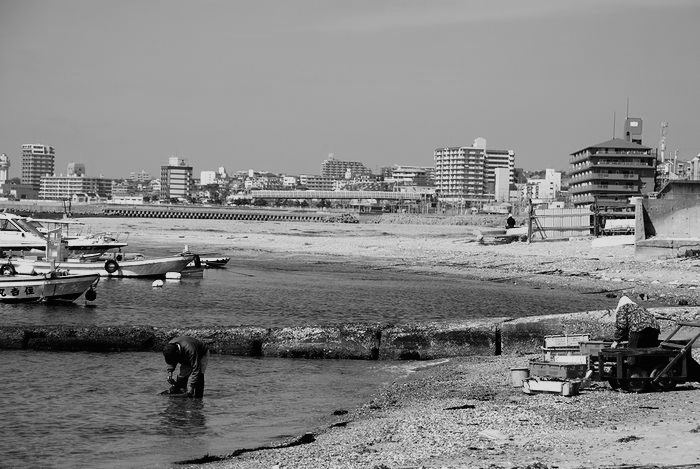 e0053660_18482862.jpg