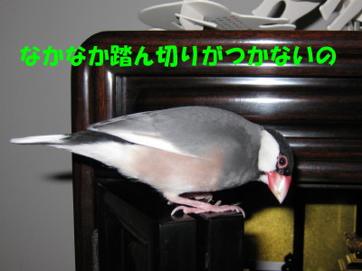b0158061_2185383.jpg