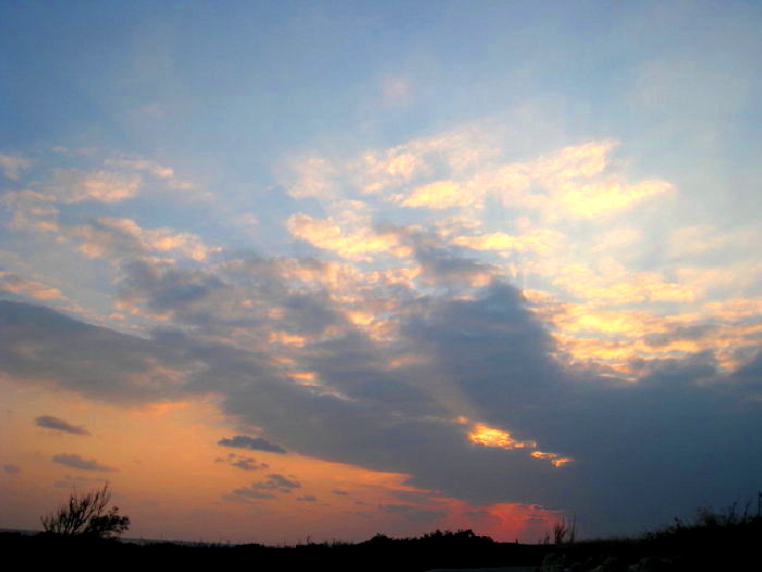 a0055362_23552689.jpg