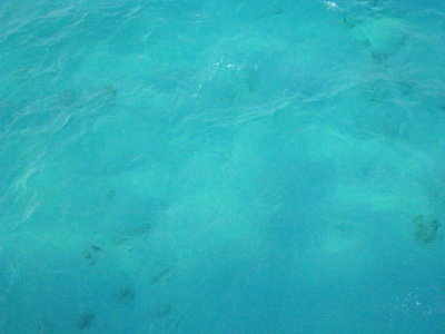 a0055362_23554295.jpg
