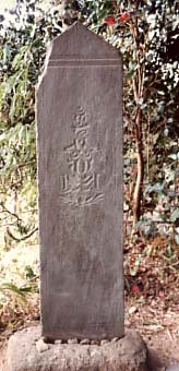e0018762_849539.jpg