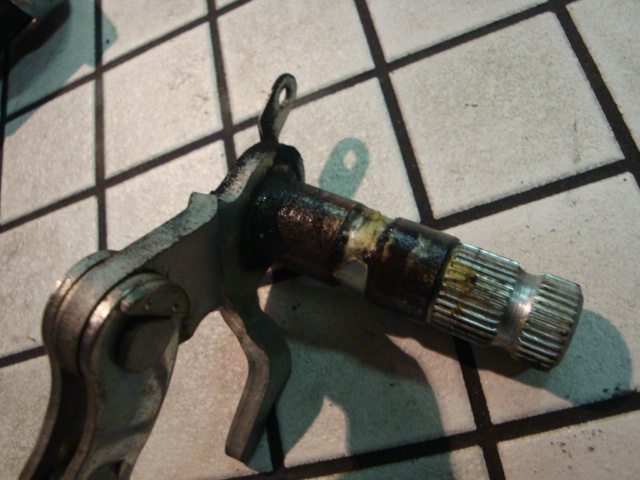 f0205962_175710.jpg