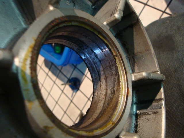 f0205962_17963.jpg