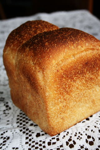 e0067563_15315350.jpg