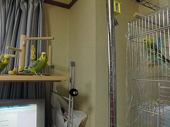 f0196665_23501272.jpg