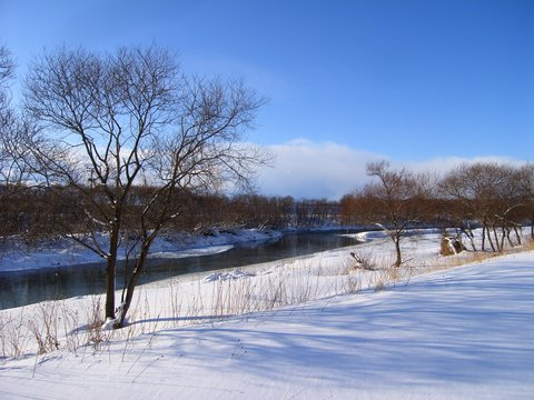 b0130166_12125872.jpg