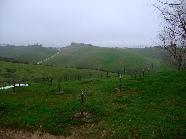 c0115366_1195637.jpg
