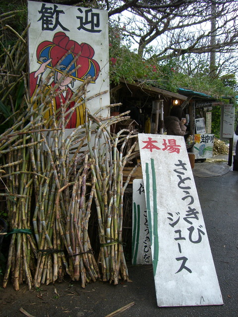b0174068_23555169.jpg