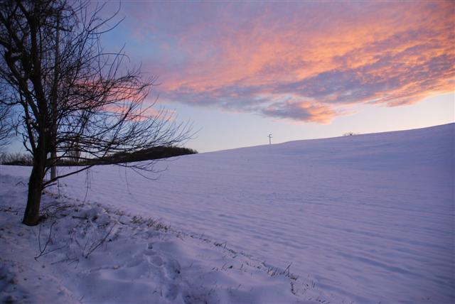f0118968_892820.jpg