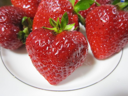 c0202870_22523629.jpg
