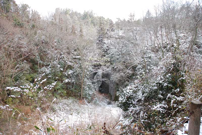 f0206270_1431099.jpg