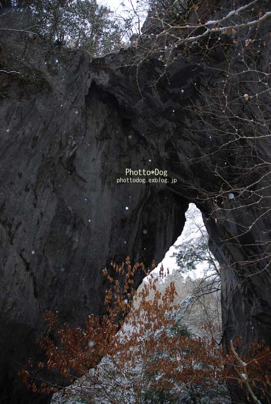 f0206270_143447.jpg