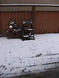 f0082772_1075382.gif