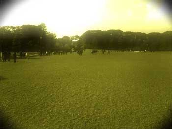 b0035080_134512.jpg