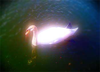 b0035080_1345764.jpg