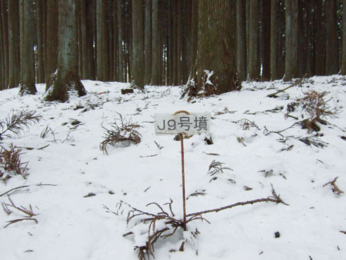 c0195281_143997.jpg