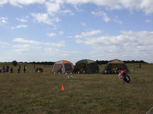 e0192781_10125163.jpg