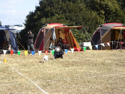 e0192781_1015332.jpg