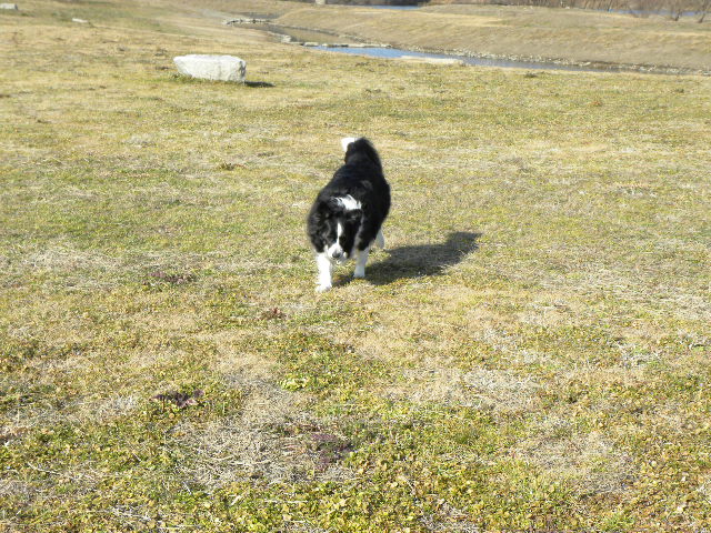 c0120585_20574163.jpg