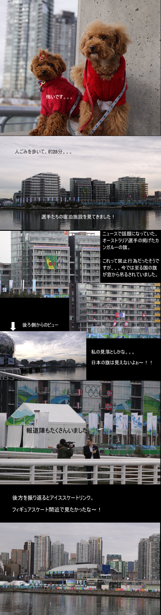 c0164491_12523612.jpg