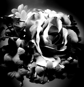 e0166895_2017760.jpg