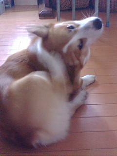 f0200795_141812.jpg