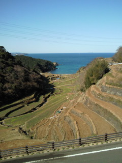 a0136600_225267.jpg
