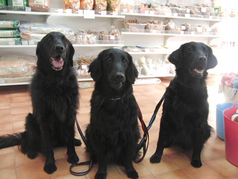 c0050400_1301395.jpg