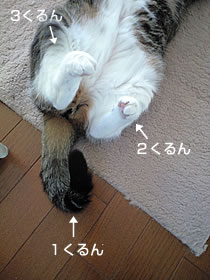 c0035001_14304798.jpg