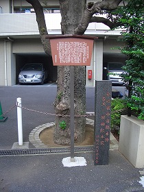c0187004_2252832.jpg