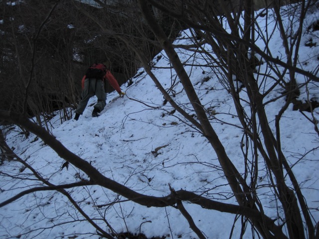 e0183804_20541473.jpg