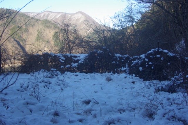 e0183804_2171941.jpg