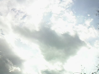 c0126205_12395787.jpg