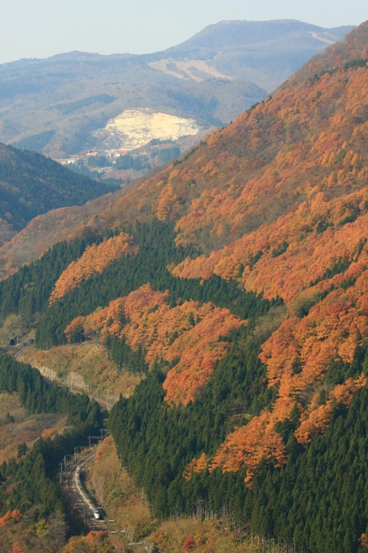 b0180907_2239429.jpg