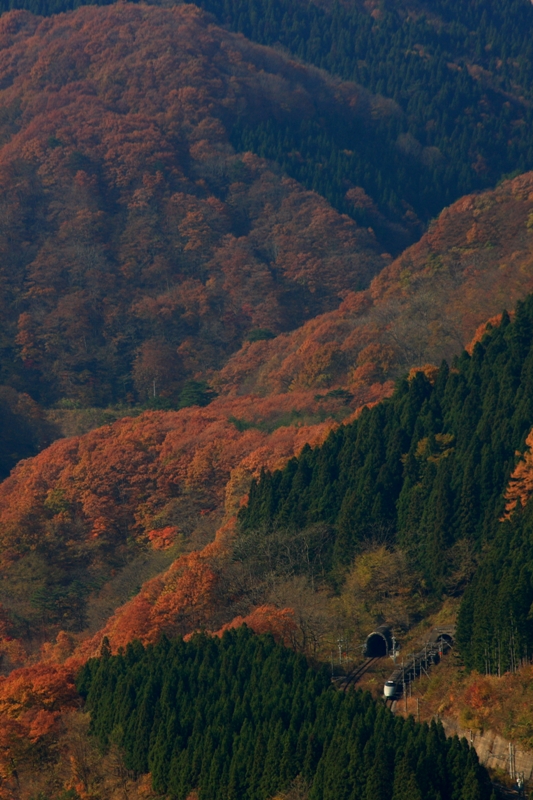 b0180907_2240025.jpg