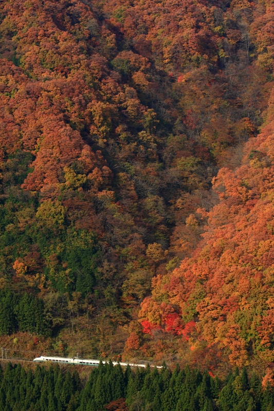 b0180907_22401431.jpg